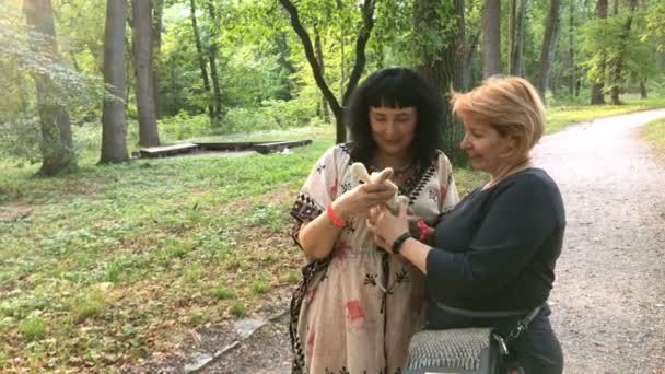 Dos mujeres adultas maduras mirando y jugando a la muñeca, de pie en el parque. En el soleado día de verano. Plan medio. — Vídeo de stock