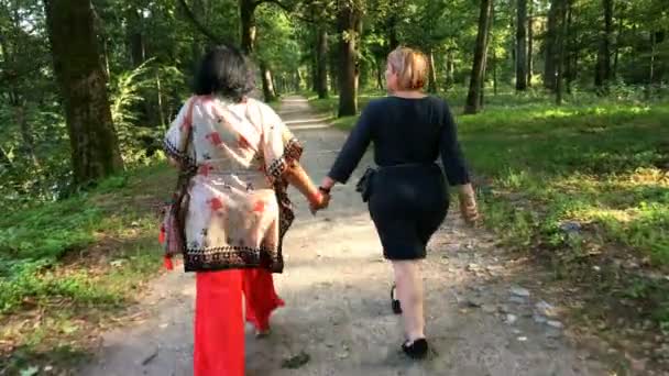 Två mogna vuxna kvinnor som går i parken. På solig sommardag. Från baksidan. Medelstor plan. — Stockvideo