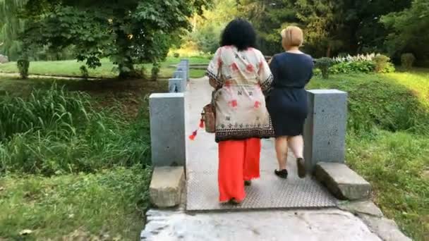 Due donne adulte mature che camminano nel parco. Nella soleggiata giornata estiva. Dalla vista posteriore. Piano medio. — Video Stock