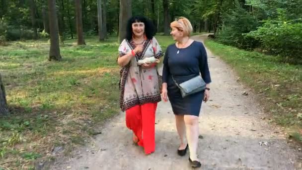 Dos mujeres adultas maduras caminando en el parque hablando y sonriendo. En el soleado día de verano. Plan medio. — Vídeo de stock