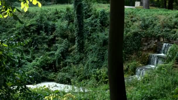 Cascada pequeña cascada con fuertes corrientes que se vierten entre los árboles en el hermoso parque de Alejandría en la ciudad de Bila Tserkva ut Ucrania. Enfoque selectivo. Plan global. — Vídeos de Stock