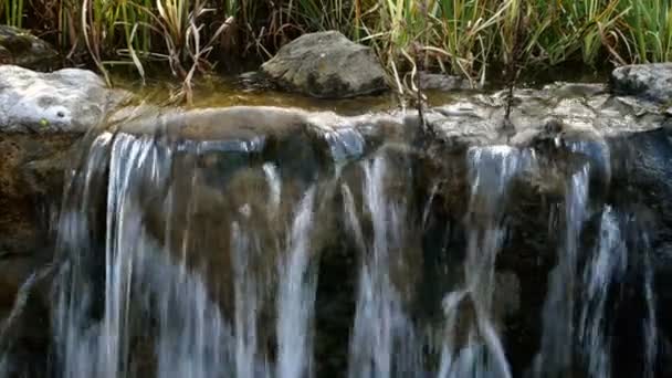 Mały wodospad z silnymi prądami płynącymi w pięknym parku Mezhyhirya w Novi Petrivtsi na Ukrainie. Wybiórcze skupienie. Zbliżenie. — Wideo stockowe
