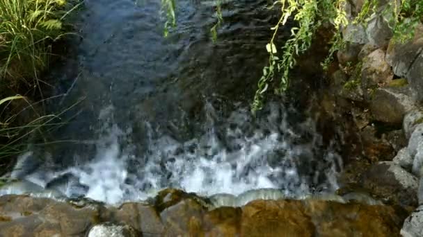 Pequeña cascada con fuertes corrientes que se vierten en el hermoso parque Mezhyhirya en Novi Petrivtsi en Ucrania. Enfoque selectivo. Primer plano. — Vídeo de stock