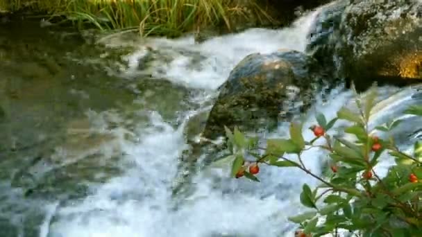 Pequeña cascada con fuertes corrientes que se vierten en el hermoso parque Mezhyhirya en Novi Petrivtsi en Ucrania. Enfoque selectivo. Primer plano. — Vídeo de stock