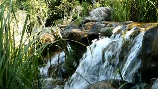 Pequeña cascada con fuertes corrientes que se vierten en el hermoso parque Mezhyhirya en Novi Petrivtsi en Ucrania. Enfoque selectivo. Primer plano. — Vídeo de stock