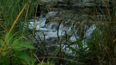 Ukrayna 'daki Novi Petrivtsi' deki Mezhyhirya parkına güçlü akıntılar akan küçük bir şelale. Seçici odaklanma. Yakın plan..