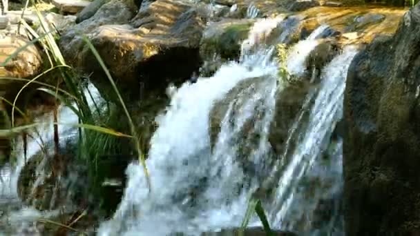 Pequeña cascada con fuertes corrientes que se vierten en el hermoso parque Mezhyhirya en Novi Petrivtsi en Ucrania. Enfoque selectivo. Primer plano. — Vídeo de stock