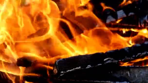Luminoso fuego y llamas queman en la chimenea caliente, fogata o barbacoa. Bonitas lenguas de llama y caliente resplandor de carbón. Primer plano. — Vídeos de Stock