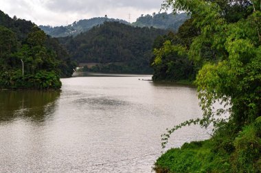 Mountain valley with rainforest and lake in Cameron Highlands.