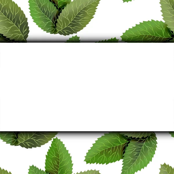 Quadratischer Rahmen Überwucherte Äste Mit Grünen Blättern Auf Hölzernem Hintergrund — Stockvektor