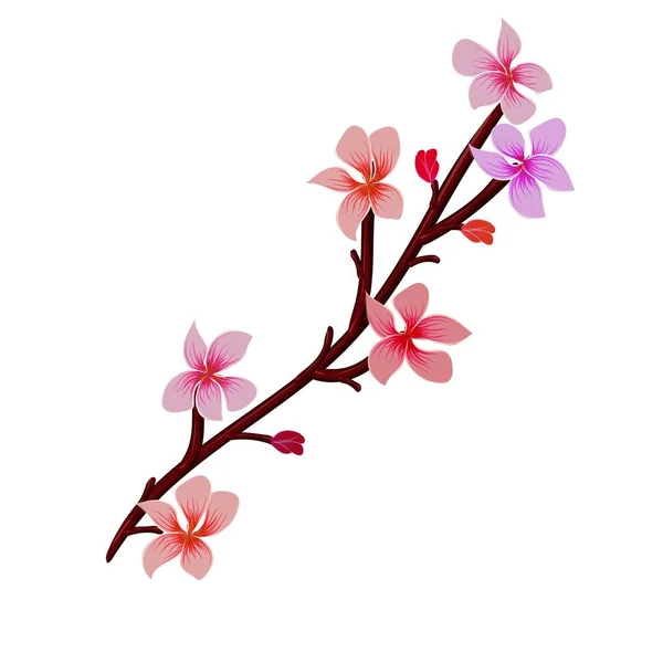 Fondo Con Patrón Floral Con Flores Flor Ilustración Vectorial Sin — Vector de stock