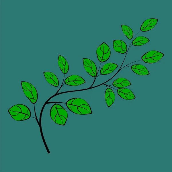 美しい葉のベクター イラスト Eps — ストックベクタ