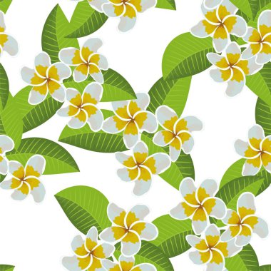 Frangipani Plumeria Tropik Çiçekleri. Kusursuz Düzen Arkaplanı. Vektör İllüstrasyonu