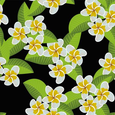 Frangipani Plumeria Tropik Çiçekleri. Kusursuz Düzen Arkaplanı. Vektör İllüstrasyonu