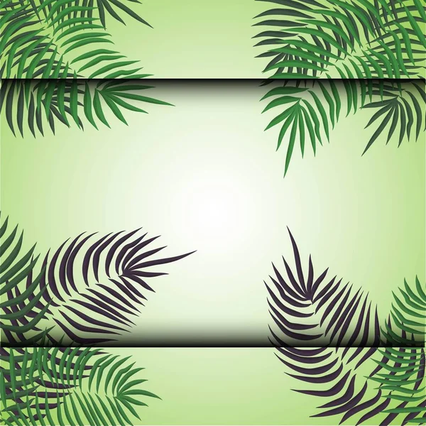 Зеленый летний тропический фон с экзотических пальмовых листьев и растений. Векторный фон . — стоковый вектор