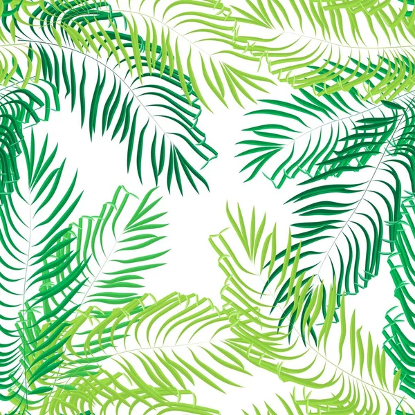 Vector palmblad sömlös sommaren på vit bakgrund. — Stock vektor