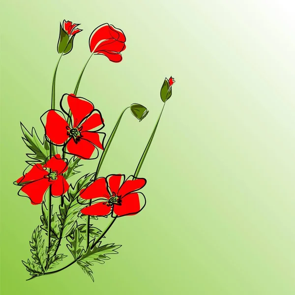 Mohn floralen Hintergrund Vektor Illustration Folge 10. — Stockvektor