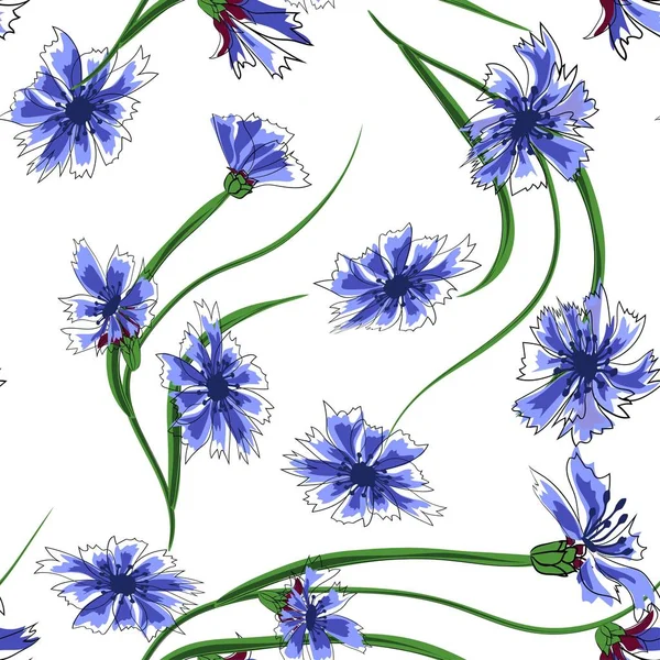 Virágos varratmentes mintázat a cornflowers vektor illusztráció. — Stock Vector