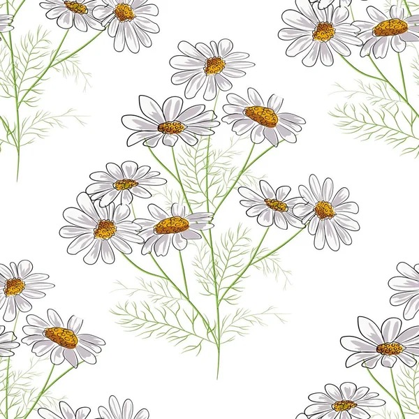 Vector floral seamless pattern with summer yellow herbs and chamomile camomile flowers. Black background. — Stock Vector