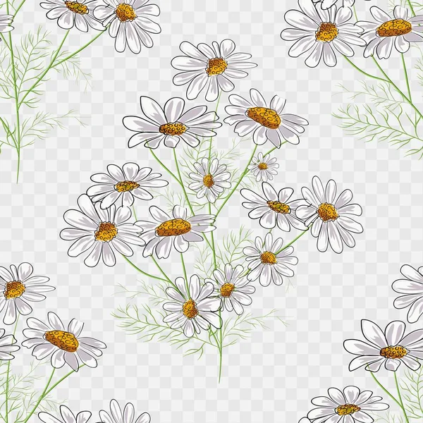 Patrón sin costura floral vectorial con hierbas amarillas de verano y flores de manzanilla . — Vector de stock