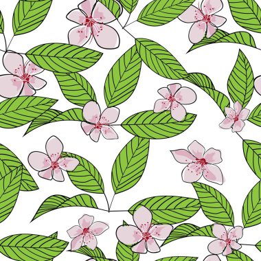 Dikişsiz el çizilmiş kiraz çiçeği vektör deseni. Pembe çiçekler ve beyaz arka plan üzerinde anahat ile yeşil yaprakları. Duvar kağıdı, tekstil, baskı tasarımı.