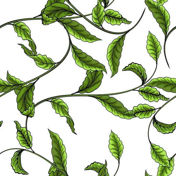 Green leaves seamless pattern on white background. — Stock Vector