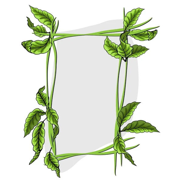 Зеленые листья с рамой. Векторная иллюстрация. eps 10 . — стоковый вектор