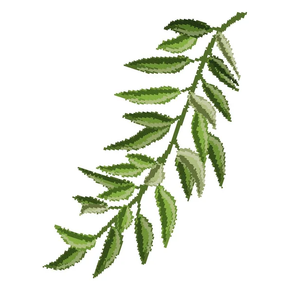 Rama con hojas verdes sobre un fondo blanco . — Archivo Imágenes Vectoriales
