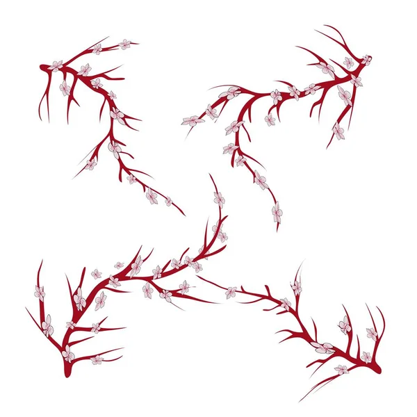 Branches de sakura sur fond blanc illustration vectorielle eps 10 . — Image vectorielle