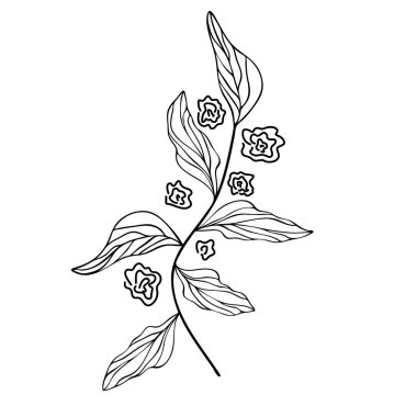 Gül ve yaprakvektör illüstrasyon eps 10 ile Dal.