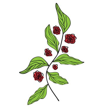 Gül ve yaprakvektör illüstrasyon eps 10 ile Dal.