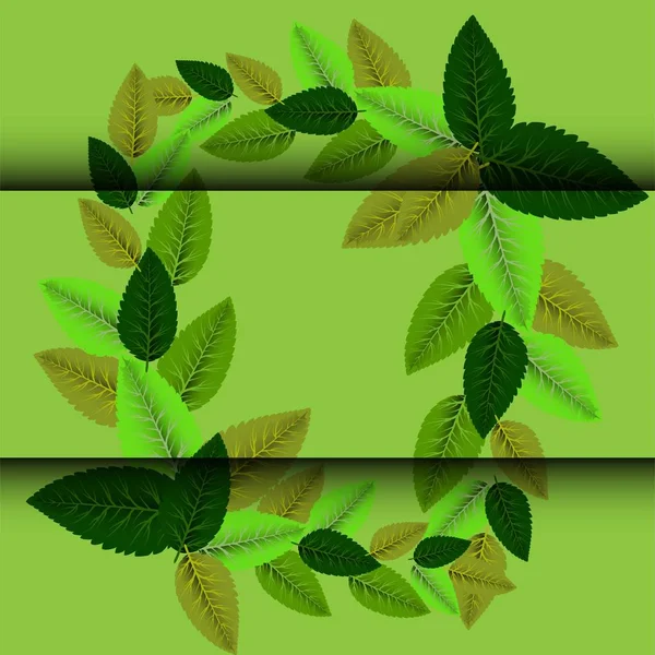 Imagens coloridas com folhas em belo estilo no fundo verde . — Vetor de Stock