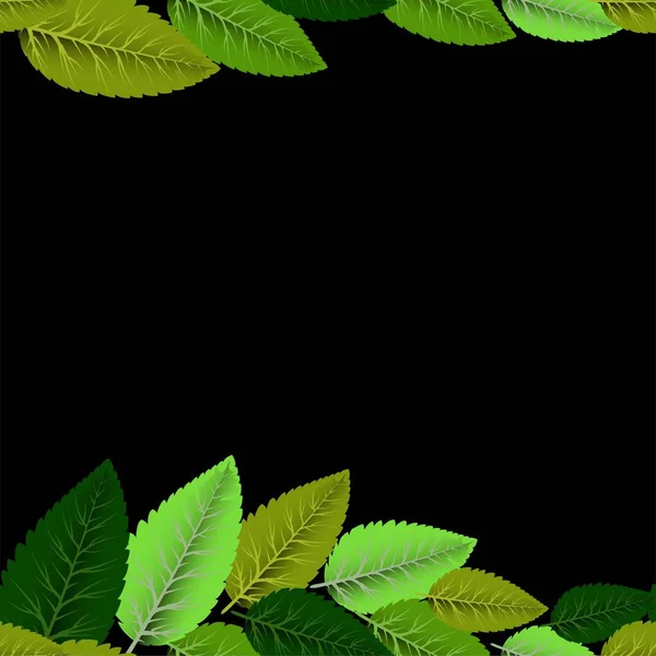 Imágenes coloridas con hojas en hermoso estilo sobre fondo oscuro . — Archivo Imágenes Vectoriales