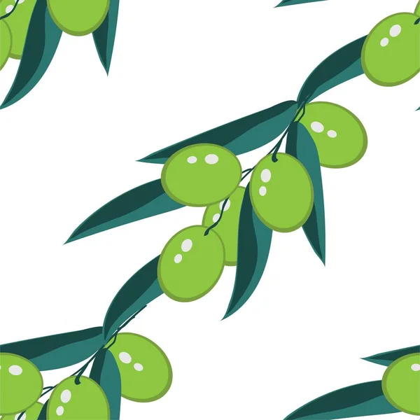 Illustration avec des olives vertes branches sans couture sur fond blanc . — Image vectorielle