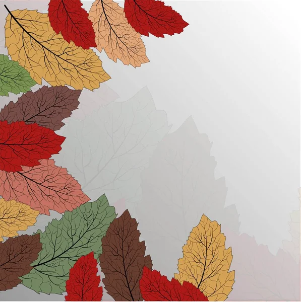 秋天树叶的背景 伟大的设计为任何目的 墙纸设计用红秋叶背图案 — 图库矢量图片