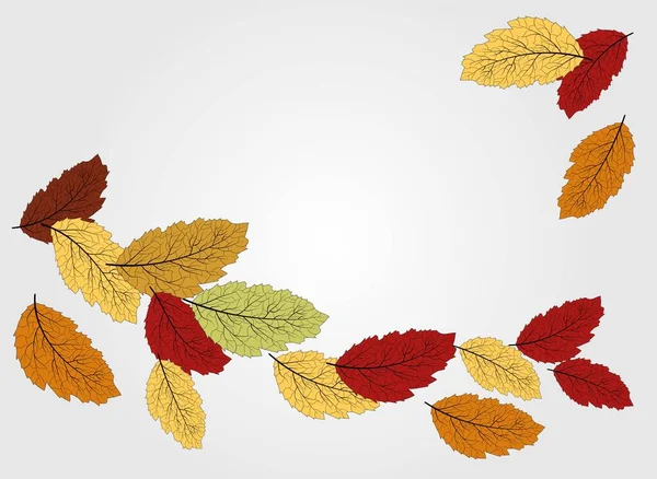 Autumn Leaves Set Leaf Vector Tree Collection Vector Banner Modern — Stock Vector