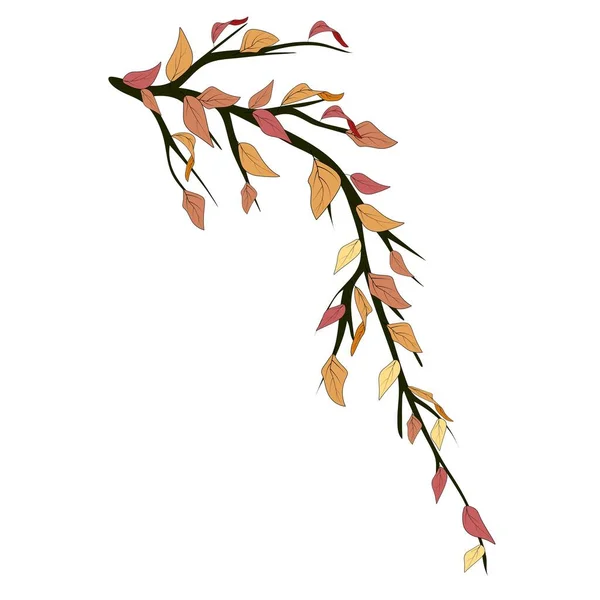 Szkic Gałąź Jesiennych Liści Świętowania Dekoracji Projektu Kolorowy Wektor Ilustracji — Wektor stockowy