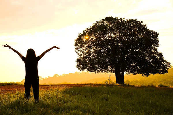 Жінка підняла руку на луг обличчям до сходу сонця — стокове фото