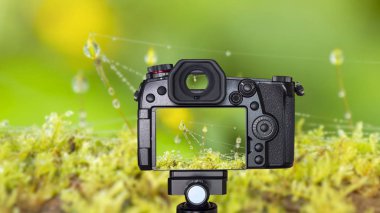 Dijital kamera üçayağa üzerine yeşil yosun üzerinde makro waterdrop, blur / ağaç üzerinde liken