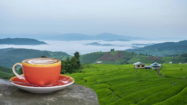 Bir Fincan Kahve Masada Yeşil Paddy Alan Dumanlı Manzaralı Sabah — Stok fotoğraf