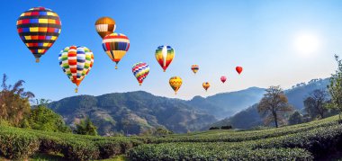 Renkli sıcak hava balonu Panoraması sinek çay çiftlik sabah güneşin doğuşunu ile peyzaj üzerinde Chiangrai, Tayland