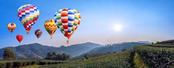 Panorama Van Kleurrijke Luchtballon Vliegen Een Landschap Van Thee Boerderij — Stockfoto
