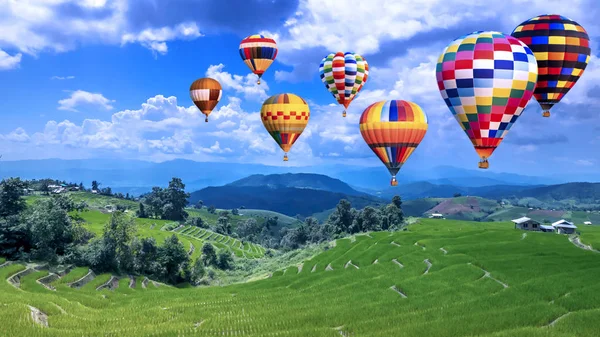 Kleurrijke hete lucht ballon vliegen over groene paddy veld 4 — Stockfoto