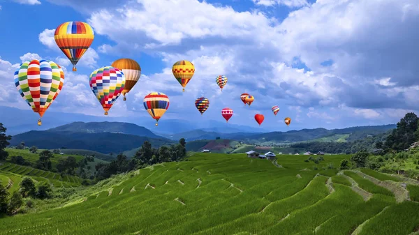 Renkli sıcak hava balon sinek üzerinde yeşil paddy alanı 3 — Stok fotoğraf