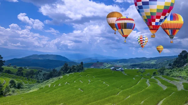 Renkli sıcak hava balon sinek yeşil paddy alanın 7 üzerinde — Stok fotoğraf