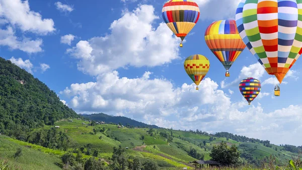 Färgglada varm luftballong flyga över gröna risfält 6 — Stockfoto