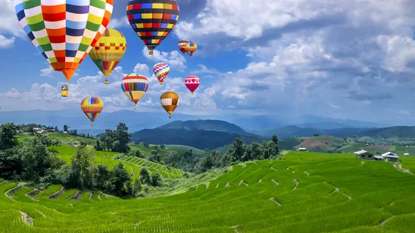 Renkli sıcak hava balon sinek yeşil paddy alan 5 üzerinden — Stok fotoğraf