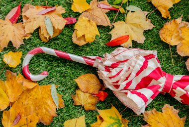 Kırmızı şemsiye ve sarı yapraklar yeşil çim üzerinde. Sonbahar sezonu zaman