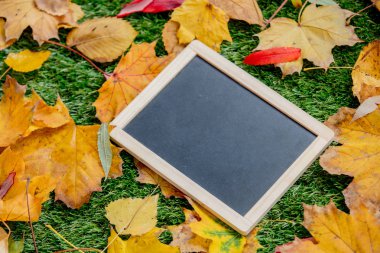 Yazı tahtası ve yaprak yeşil çim üzerinde. Sonbahar sezonu zaman