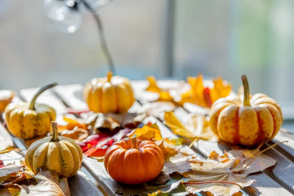 Calabazas Hojas Sobre Una Mesa Madera Tiempo Temporada Otoño — Foto de Stock